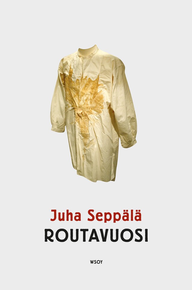 Book cover for Routavuosi