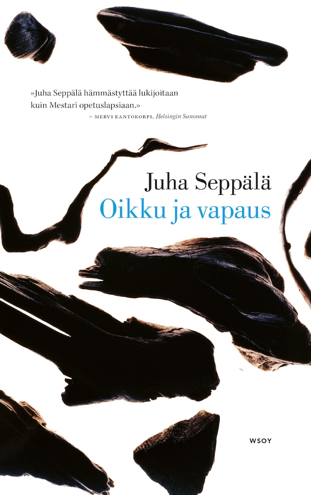 Buchcover für Oikku ja vapaus