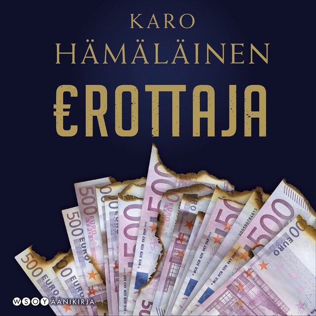 Book cover for Erottaja