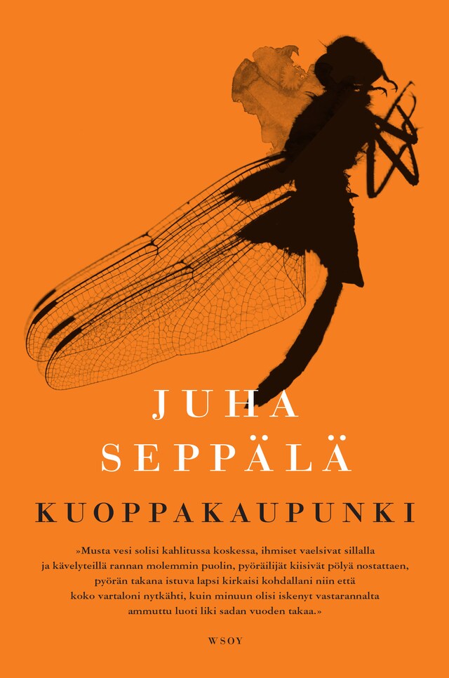 Book cover for Kuoppakaupunki
