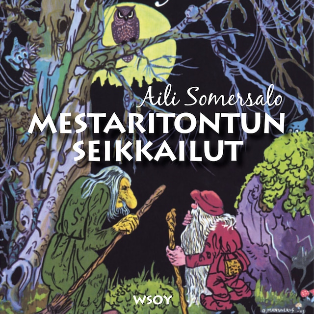 Book cover for Mestaritontun seikkailut
