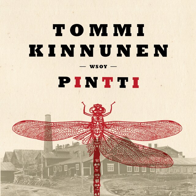 Book cover for Pintti