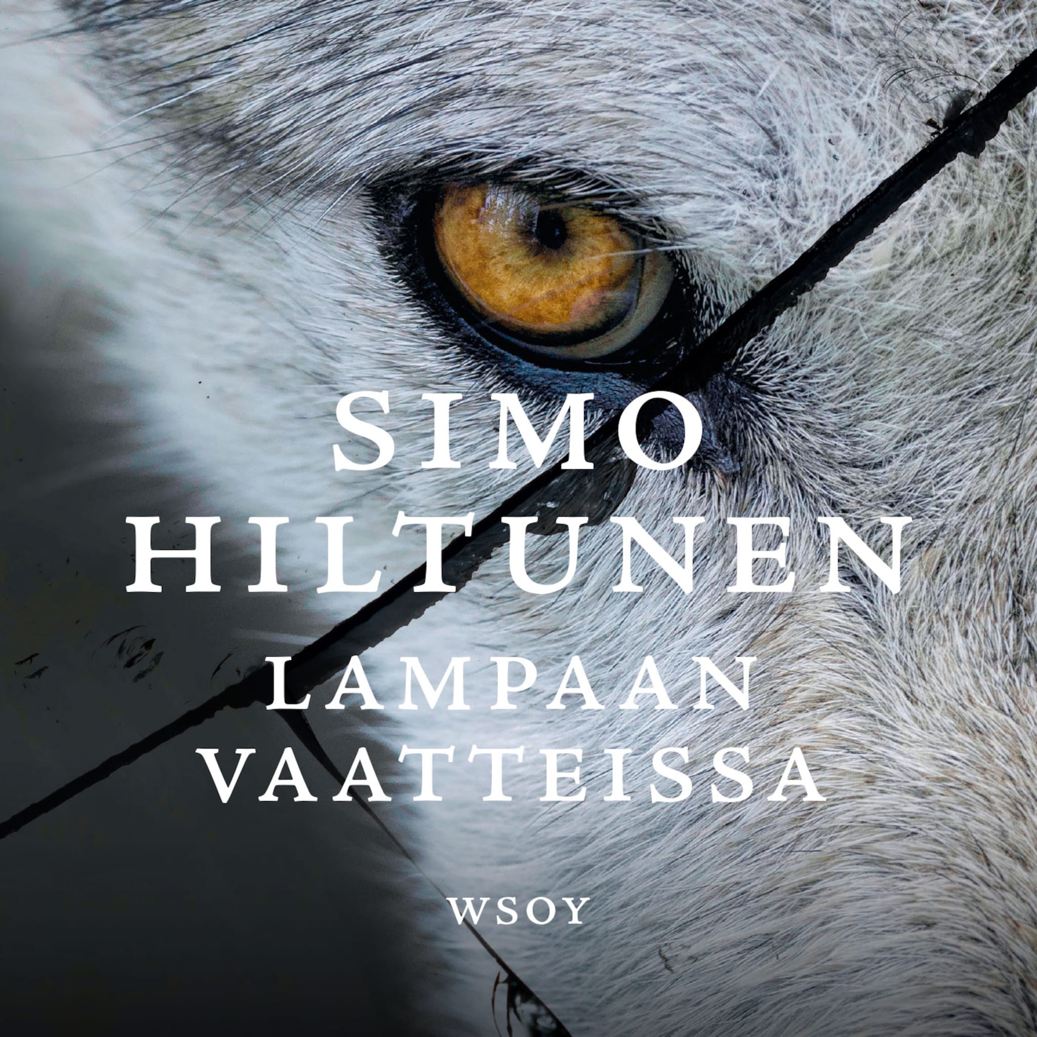 Äänikirjan Lampaan vaatteissa kansikuva
