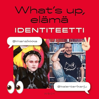 What's up, elämä - Äänikirja - Mikko Toiviainen
