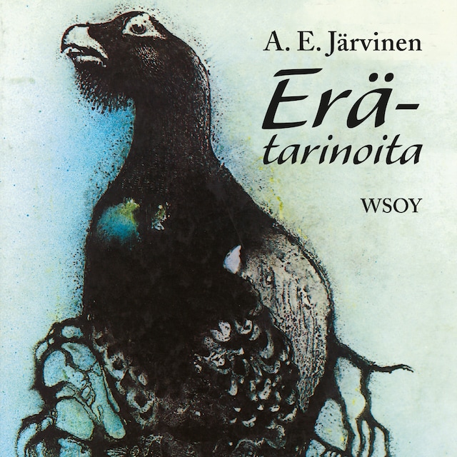 Couverture de livre pour Erätarinoita