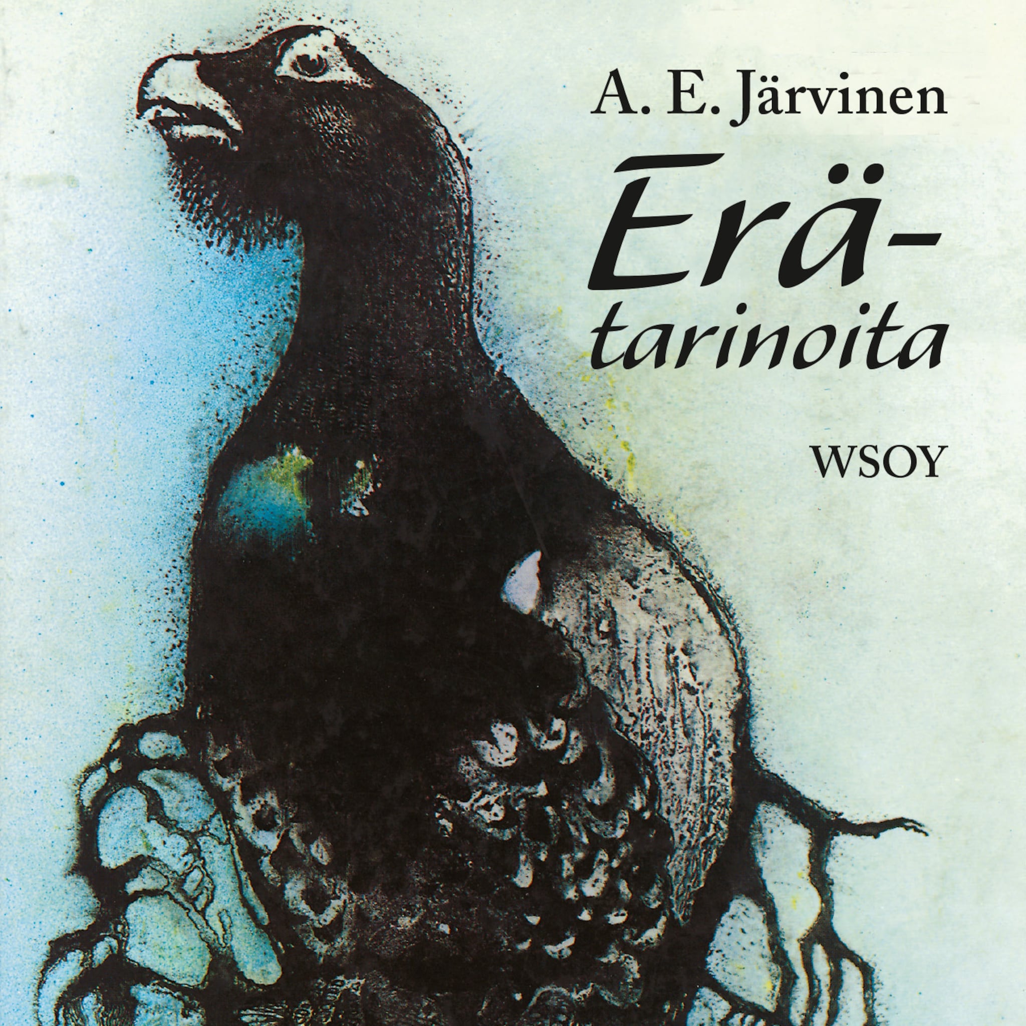 Äänikirjan Erätarinoita kansikuva