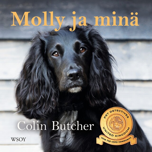 Book cover for Molly ja minä
