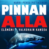 Pinnan alla