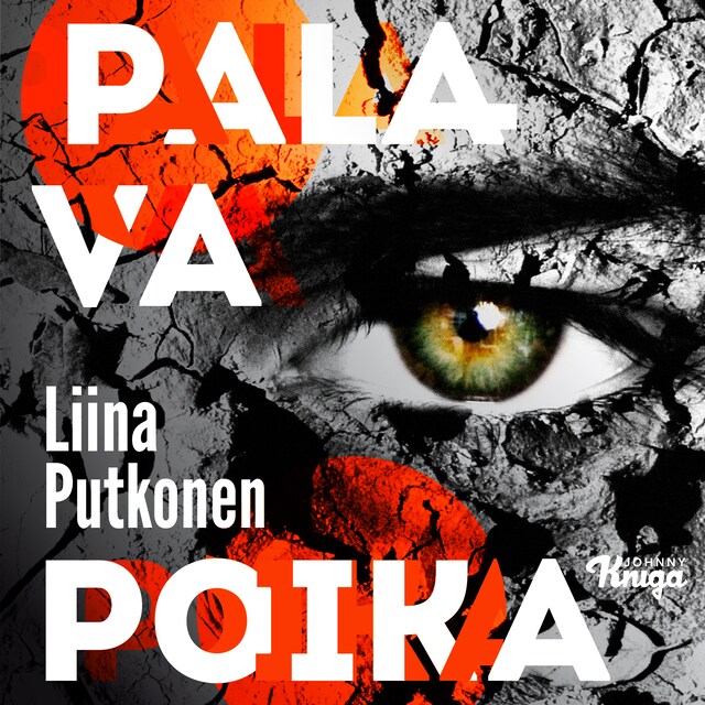Book cover for Palava poika