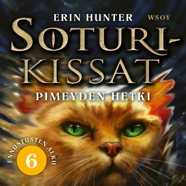 Book cover for Soturikissat: Ennustusten alku 6: Pimeyden hetki