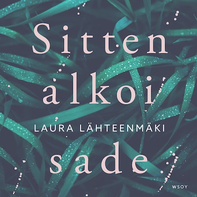 Sitten alkoi sade