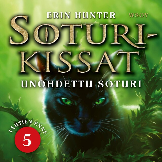 Book cover for Soturikissat: Tähtien enne 5: Unohdettu soturi