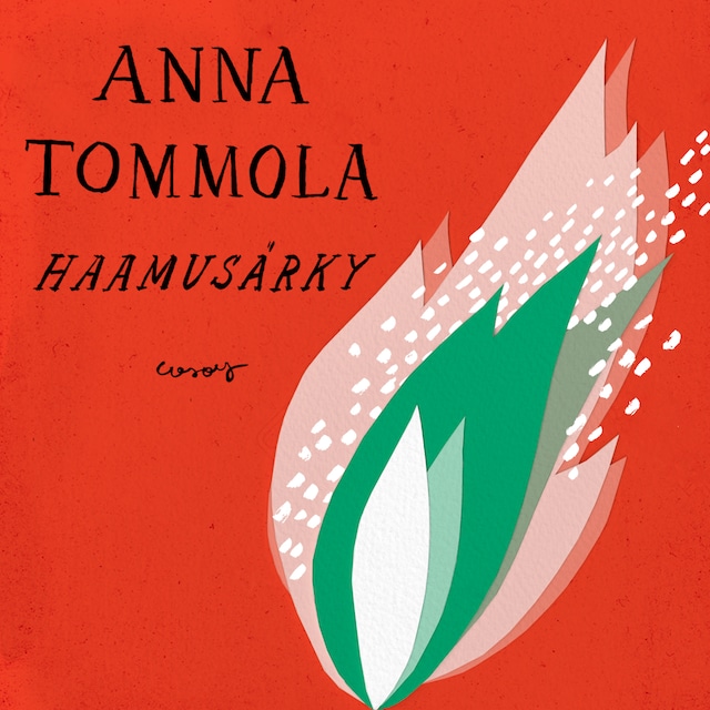 Copertina del libro per Haamusärky