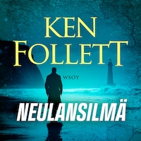 Neulansilmä