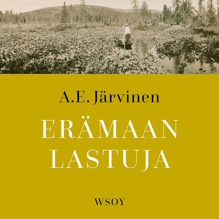 Erämaan lastuja bookCoverFor