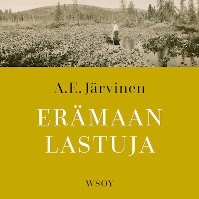 Erämaan lastuja