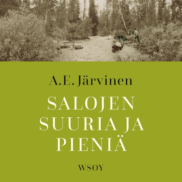 Book cover for Salojen suuria ja pieniä