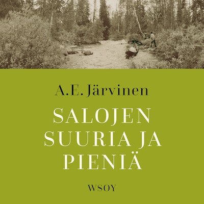 Salojen suuria ja pieniä