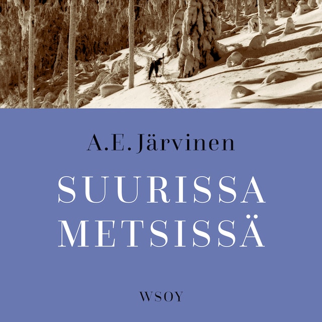 Book cover for Suurissa metsissä