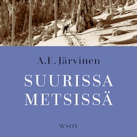 Suurissa metsissä