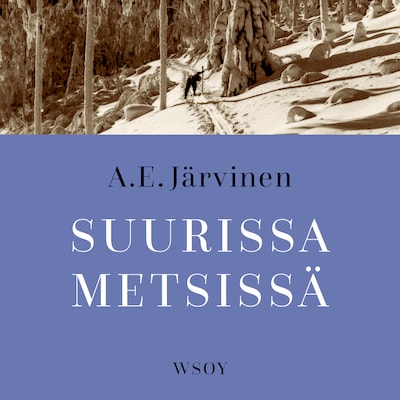 Suurissa metsissä