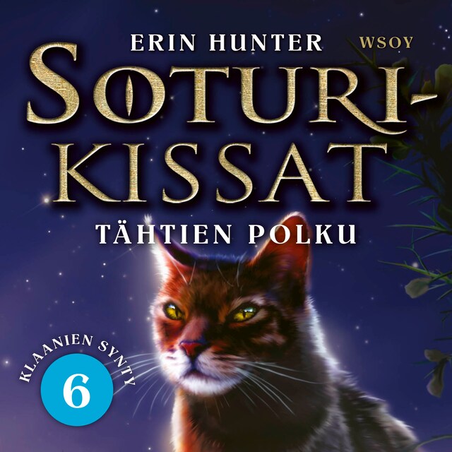 Book cover for Soturikissat: Klaanien synty 6: Tähtien polku