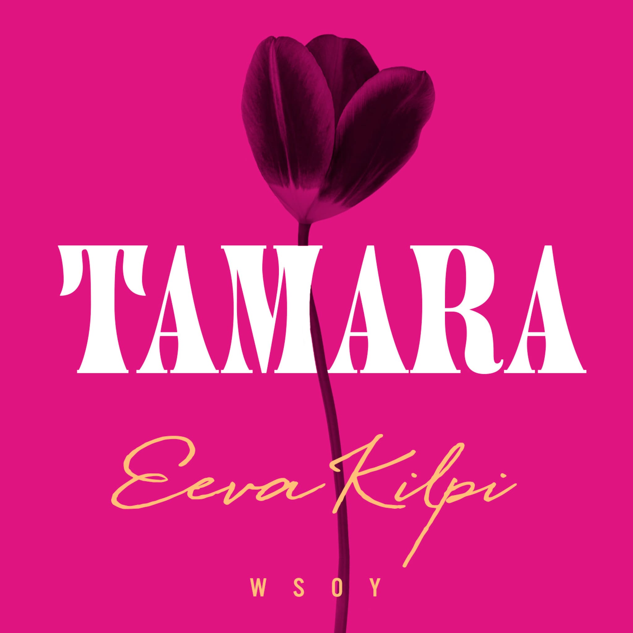 Äänikirjan Tamara kansikuva