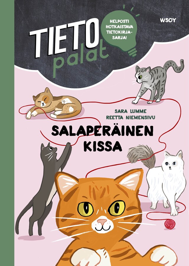 Boekomslag van Tietopalat: Salaperäinen kissa (e-äänikirja)