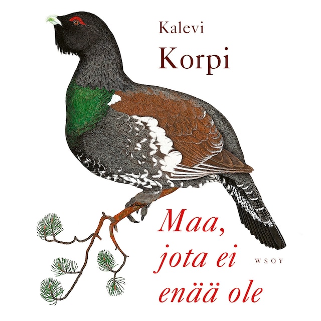 Book cover for Maa, jota ei enää ole