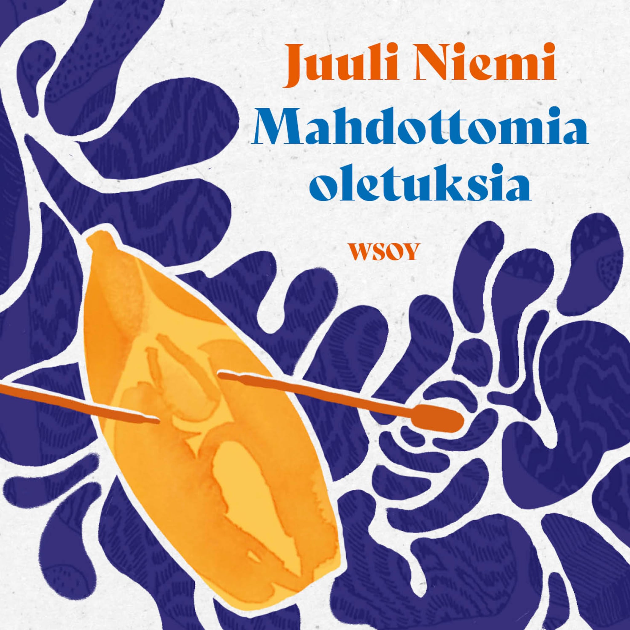 Mahdottomia oletuksia