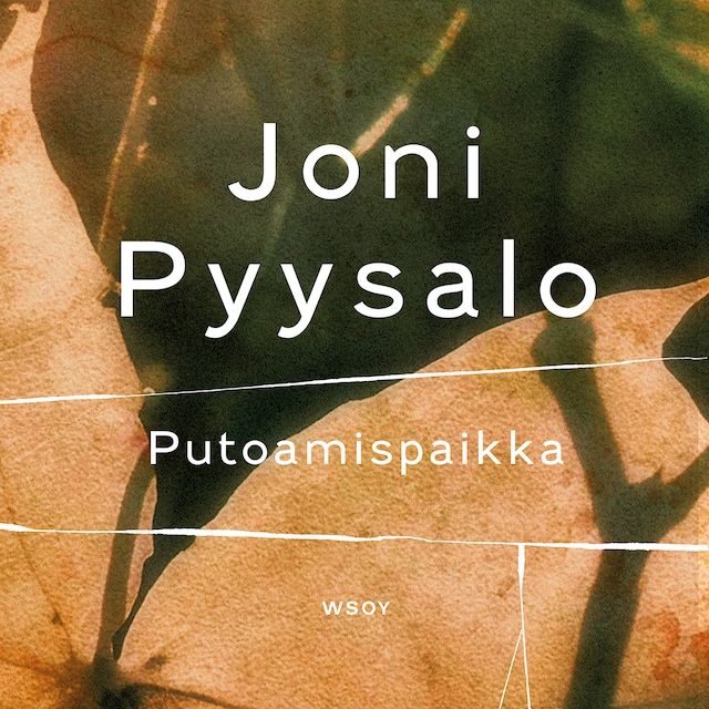 Book cover for Putoamispaikka