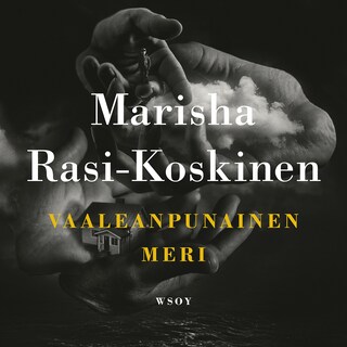 Vaaleanpunainen meri bookCoverFor