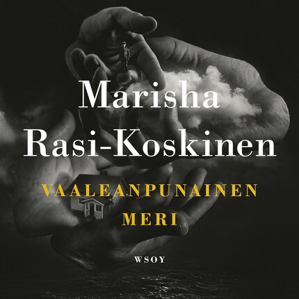 Vaaleanpunainen meri bookCoverFor