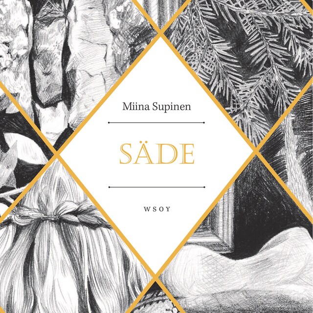 Book cover for Säde