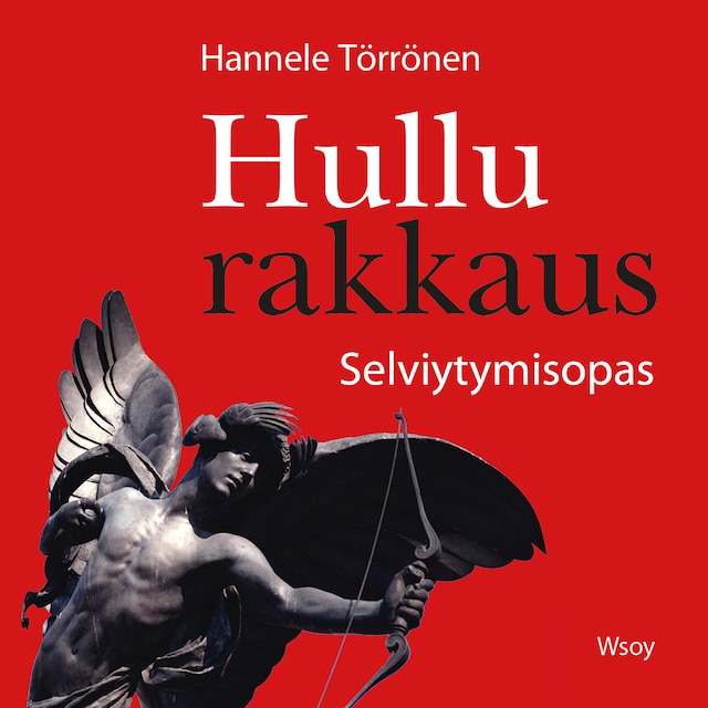 Book cover for Hullu rakkaus. Selviytymisopas