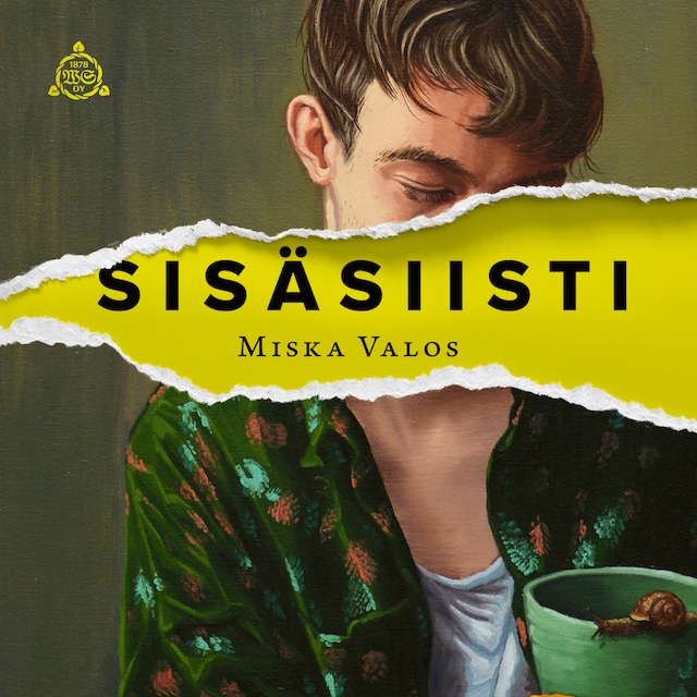 Book cover for Sisäsiisti