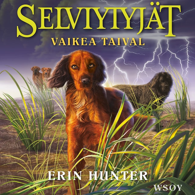 Book cover for Selviytyjät: Vaikea taival