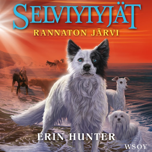 Book cover for Selviytyjät: Rannaton järvi
