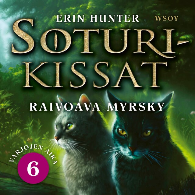 Book cover for Soturikissat: Varjojen aika 6: Raivoava myrsky