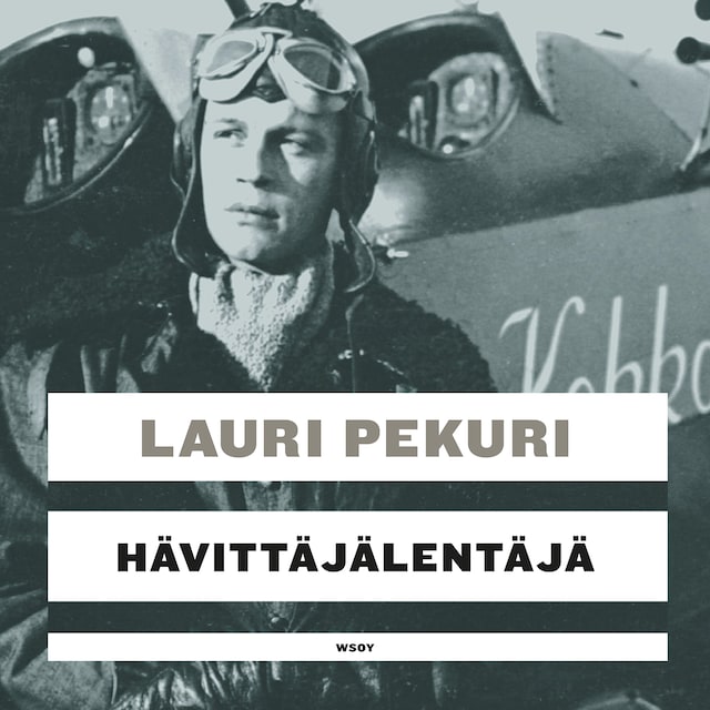 Buchcover für Hävittäjälentäjä
