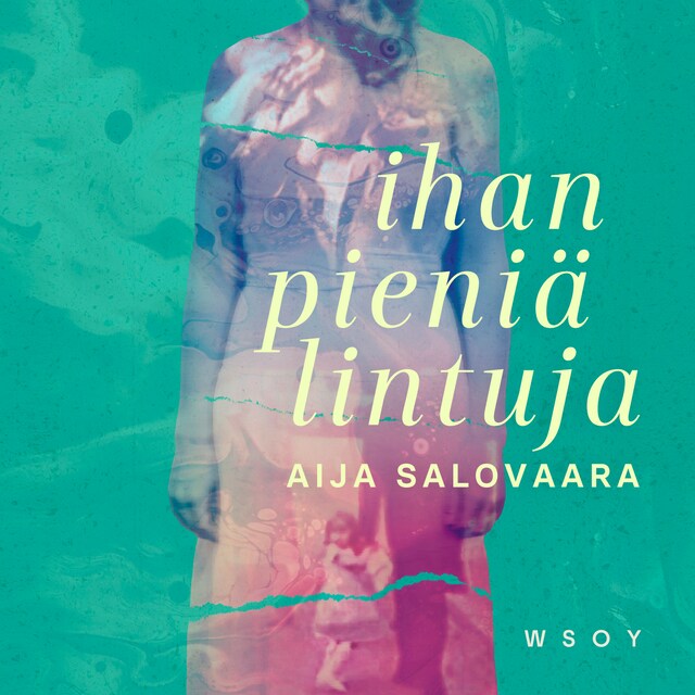 Book cover for Ihan pieniä lintuja