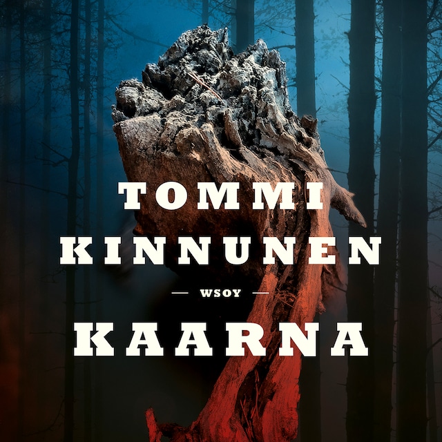 Book cover for Kaarna