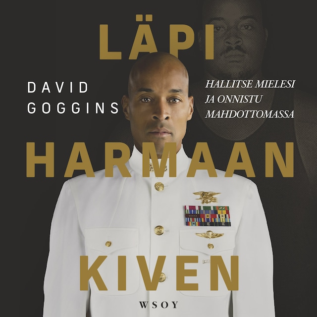 Book cover for Läpi harmaan kiven