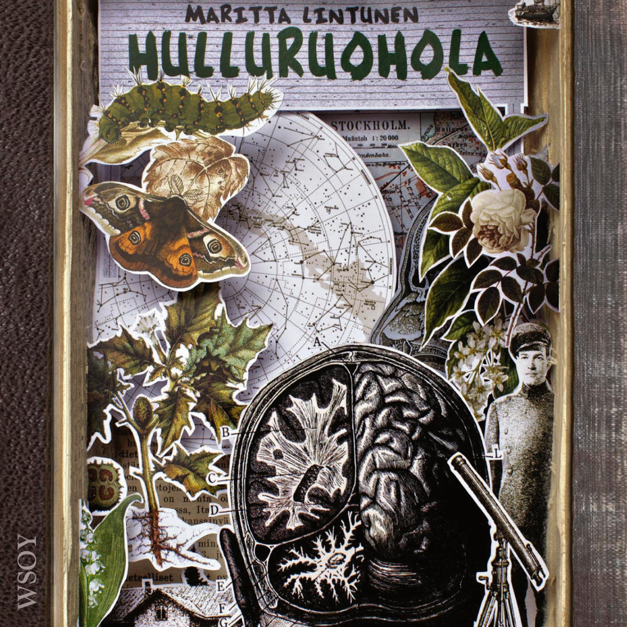 Äänikirjan Hulluruohola kansikuva