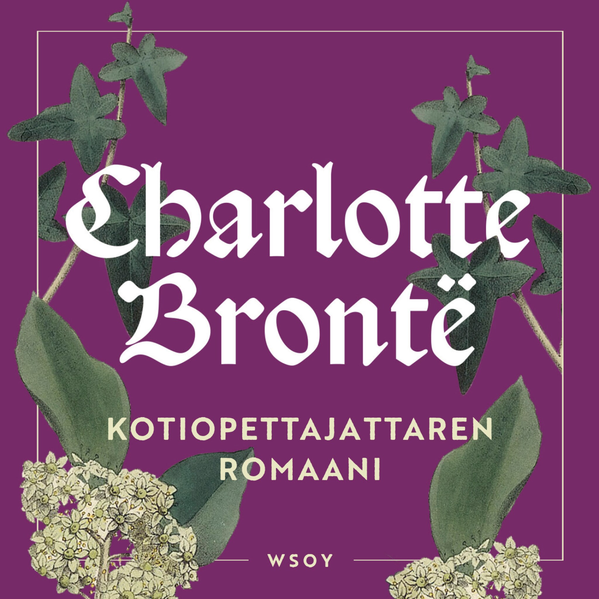 Kotiopettajattaren romaani