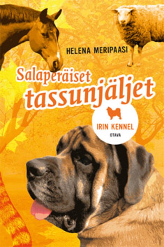 Book cover for Salaperäiset tassunjäljet