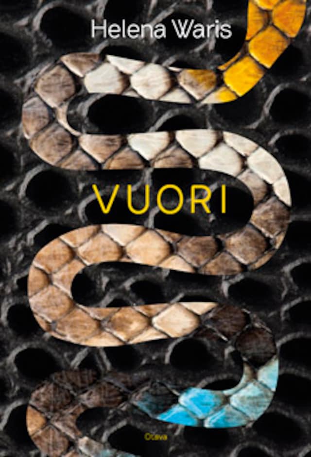 Book cover for Vuori
