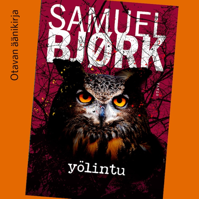 Book cover for Yölintu