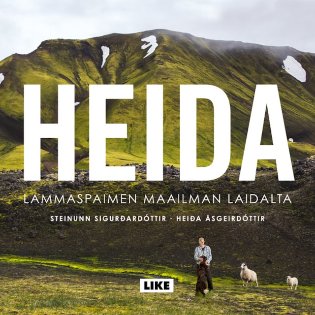 Book cover for Heida