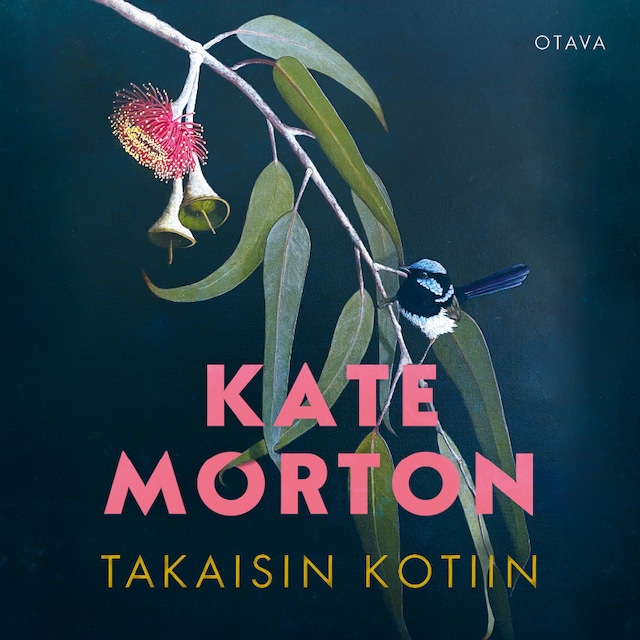 Book cover for Takaisin kotiin